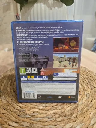 Minecraft PS4 VR Compatible