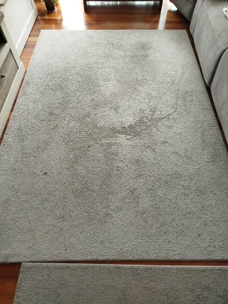 2 Alfombras ,precio unidad Color gris.