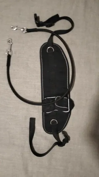 Correa cintura para perros manos libres