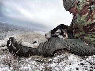 Botas Dunlop Talla 44/45 Verde