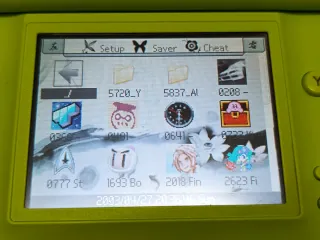 Nintendo DS Lite Verde - Edizione Speciale