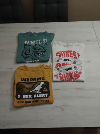 Lote 3 camisetas manga larga niño