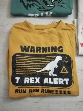 Lote 3 camisetas manga larga niño