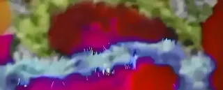 Lote Navidad: Precio Lote:12€