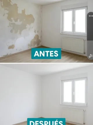 Pintura para paredes con humeda alisado