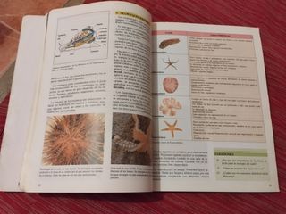 Ciencias Naturales 2