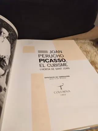 Picasso, el cubisme i Horta de Sant Joan