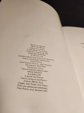 Picasso, el cubisme i Horta de Sant Joan