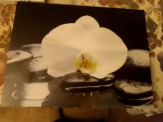 2 Cuadros Diseño Moderno Flores y Piedras