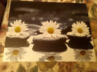 2 Cuadros Diseño Moderno Flores y Piedras