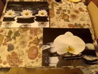 2 Cuadros Diseño Moderno Flores y Piedras
