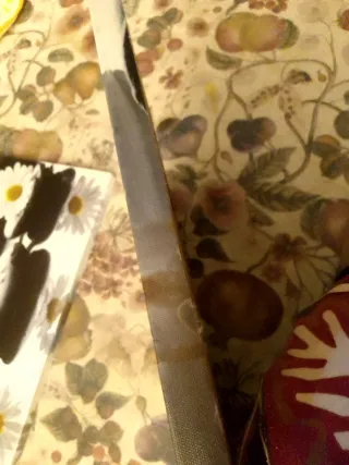 2 Cuadros Diseño Moderno Flores y Piedras