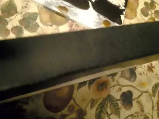 2 Cuadros Diseño Moderno Flores y Piedras