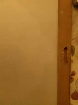 2 Cuadros Diseño Moderno Flores y Piedras