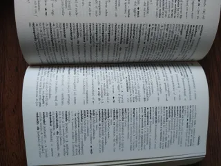 Diccionario Español-Italiano