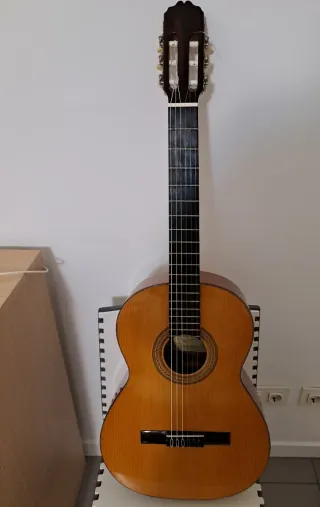 Guitarra Española Flamenca