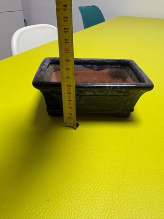 Maceta bonsai cerámica