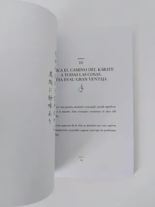 Los veinte principios rectores del KÁRATE.