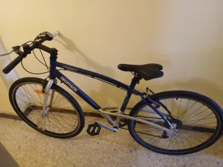 Bicicleta de montaña azul