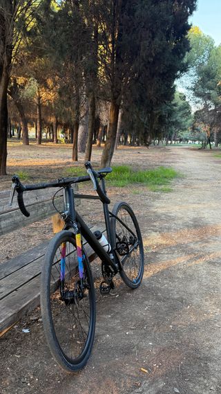 Bergamont Grandurance RD3