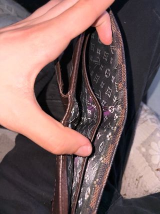 Cartera Louis Vuitton Marrón