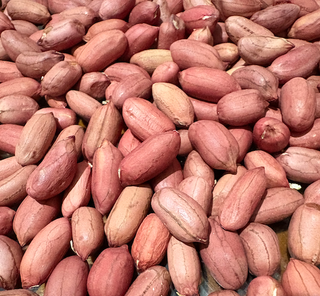 Semillas de cacahuete var. Cacaua