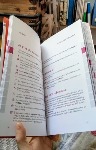 Instant giapponese di Marco Togni