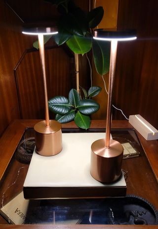 2 Lampade LED Rose Golden Touch USB