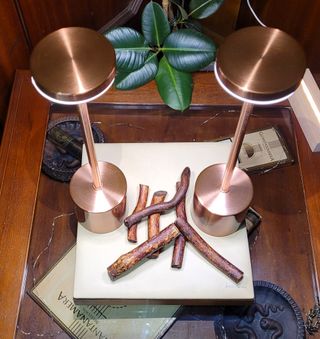 2 Lampade LED Rose Golden Touch USB