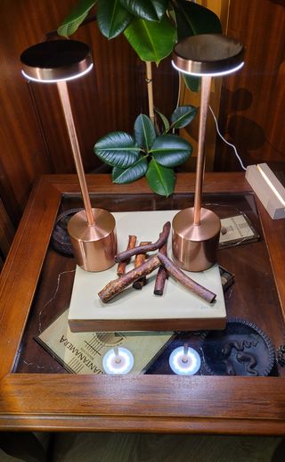 2 Lampade LED Rose Golden Touch USB