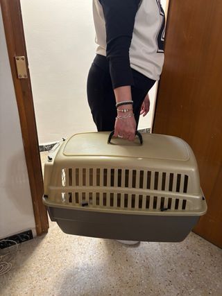 Transportín grande para mascotas