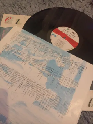 Vinilo El Último de la Fila Enemigos