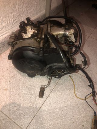 Motor 50cc de gasgas rookie