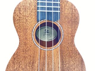 ukelele donner dus-100