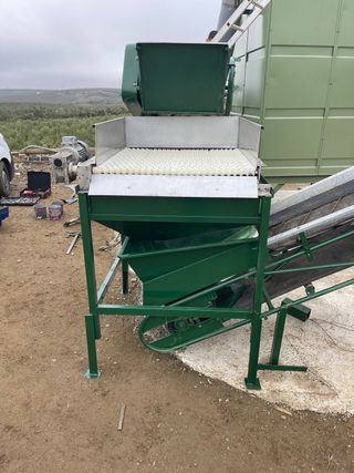 Puesto de limpieza de Aceituna