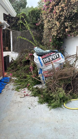 Retirada de restos poda