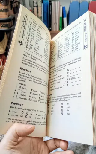 Teach Yourself Beginner's Chinese Script