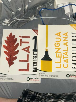 Celestina Vigneaux. Batxillerat. Llengua catalana