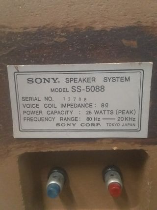 Altavoz Sony Marrón