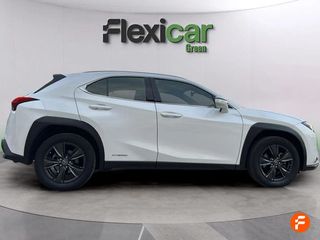 Lexus UX 2.0 250h Business