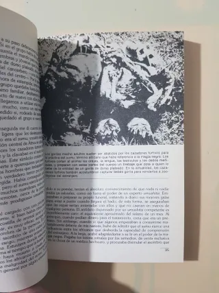 Libro Gorilas en la niebla