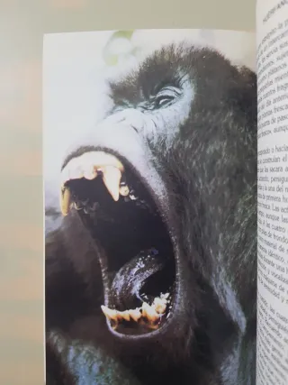 Libro Gorilas en la niebla