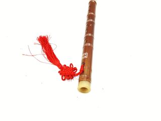 flauta physcool dizi