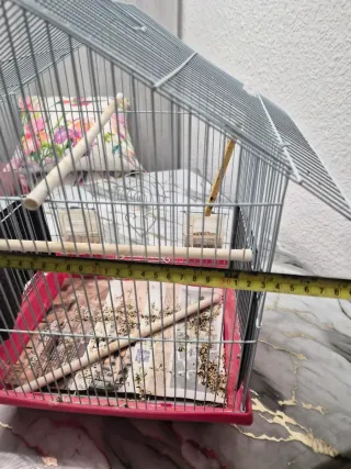 Jaula para pájaros gris y roja