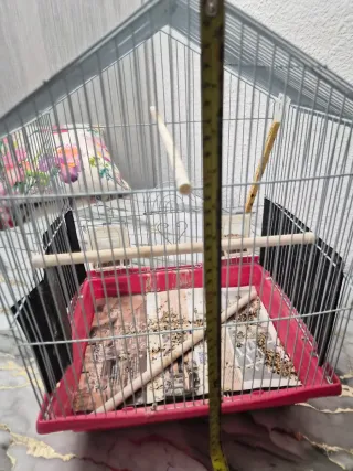 Jaula para pájaros gris y roja