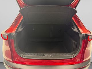 Mazda CX-30 2.0 E-SKYACTIV-G EVOLUTION 122 CV 2WD 5P