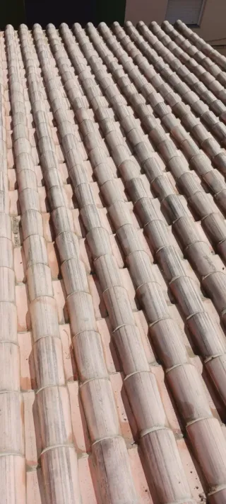 Tejas y cubierta de teja