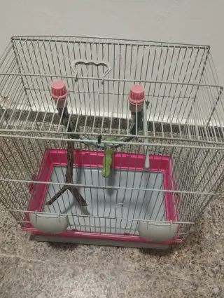 Jaula para pájaros periquitos agapornis ninfas