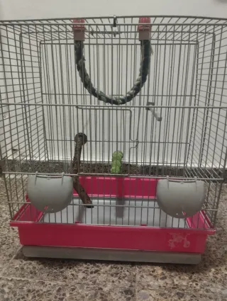 Jaula para pájaros periquitos agapornis ninfas