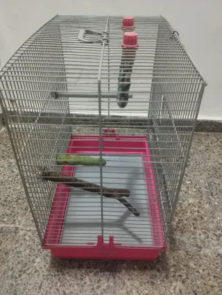 Jaula para pájaros periquitos agapornis ninfas